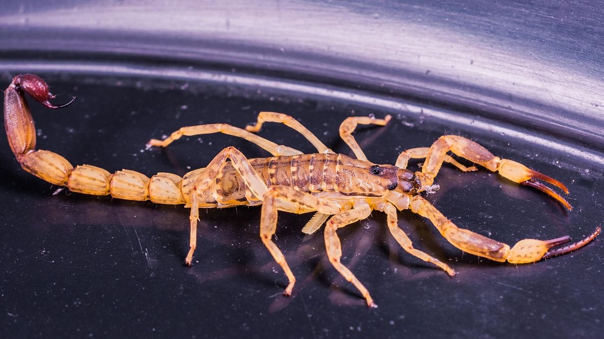 These 4 Zodiac Signs Will Notice Their Intuition Speaking Louder Than Their Logic