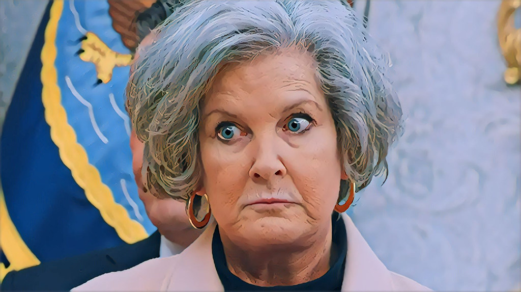 Major takeaways from Susie Wiles' Vanity Fair interview