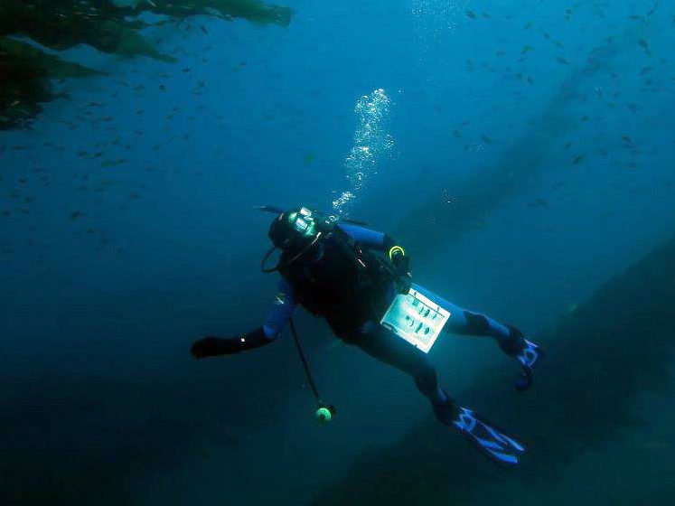 WATCH: Scuba-diving Santa Claus takes a holiday plunge in the Florida Keys