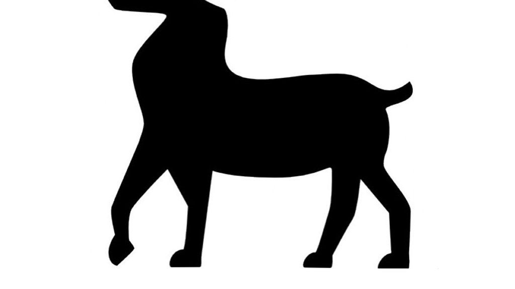 The Next 3 Months For 5 Signs Will Be Defined By Radical Self-Respect