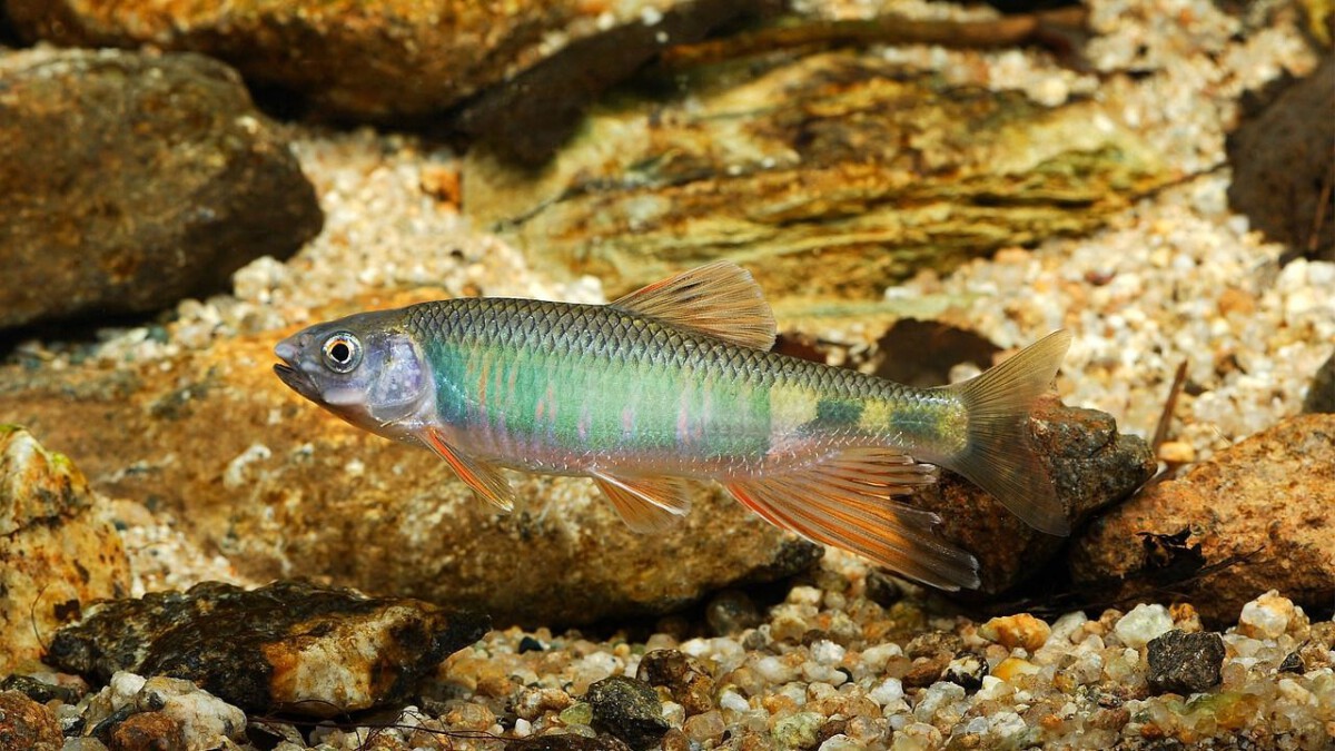 Winter Brings Deep Healing For 2 Signs Who Have Been Hurting In Secret