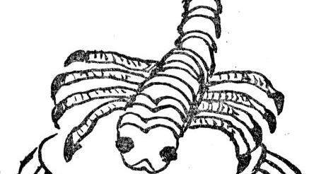 Surprise! 4 Signs Are About To Attract A Past-Life Soulmate