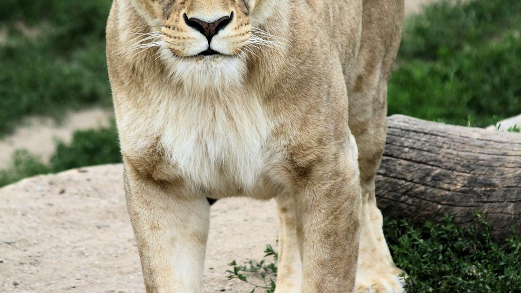 These 2 Signs Are About To Get A Promotion They Didn't Apply For