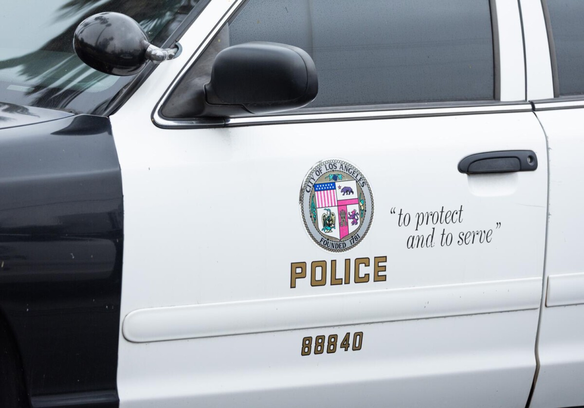 Mom, 19, arrested after toddler was abandoned during botched car theft in Highland Park, police say