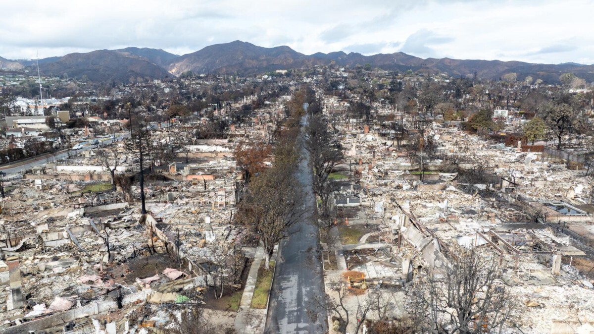 Images documenting the year of recovery after the Palisades fire