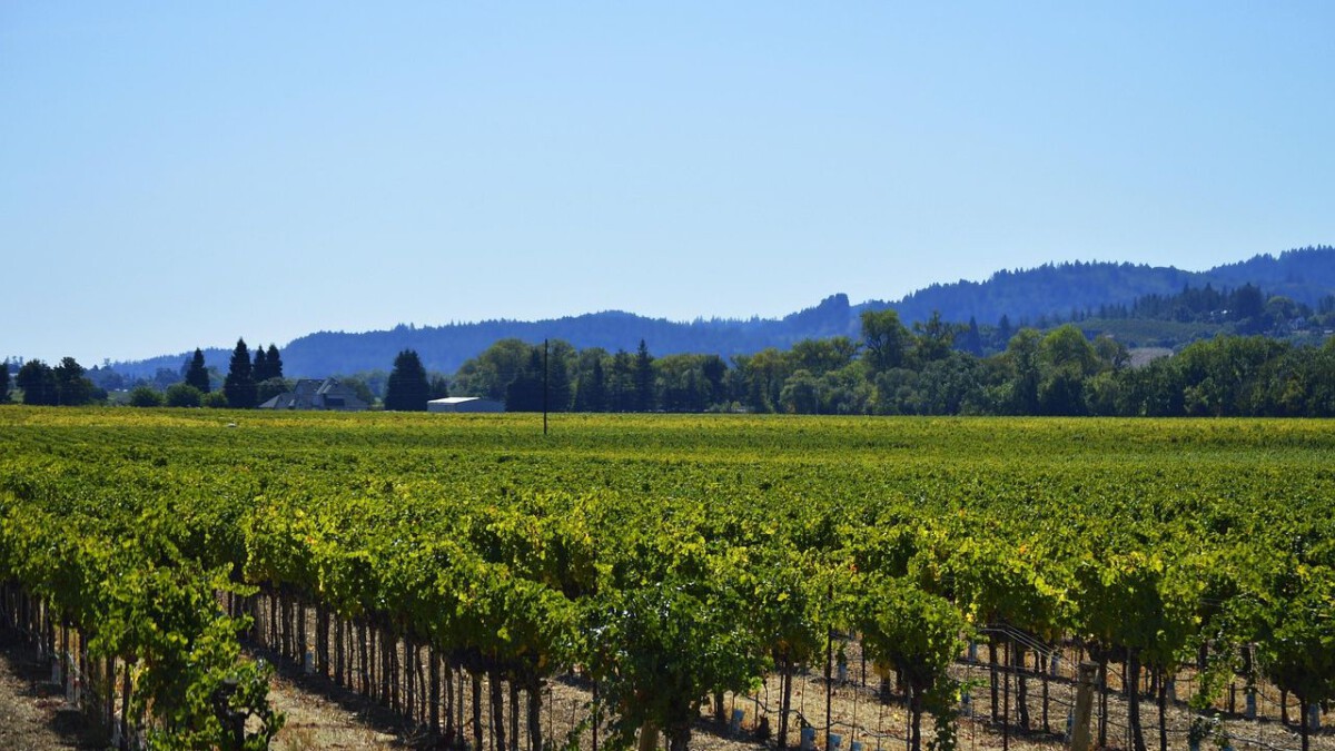 The Best Small-Town Weekend Getaway for Your Zodiac Sign