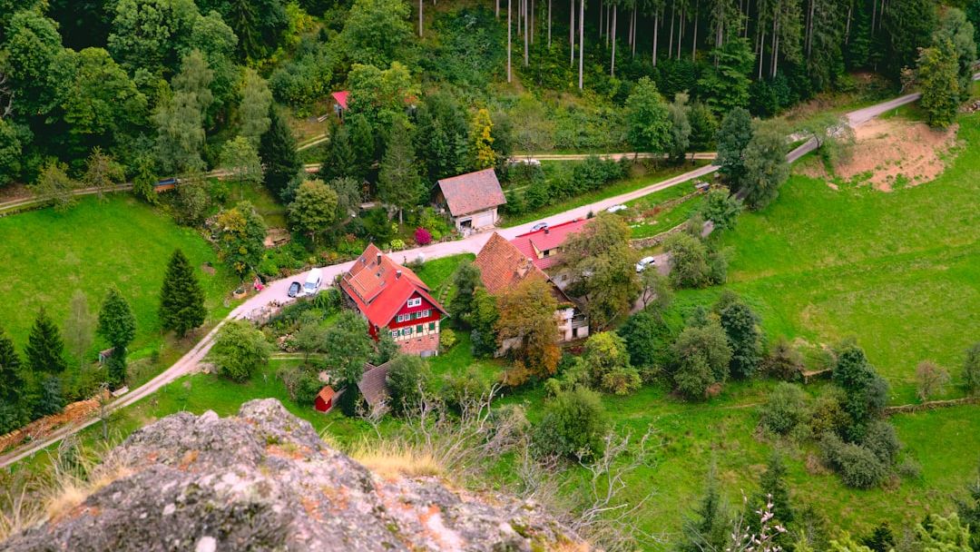 Small Town vs. Big City: Which Environment Suits Your Sign Best?