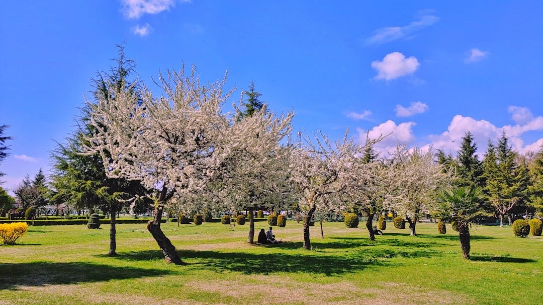Which State Park Should You Visit Based on Your Sun Sign?