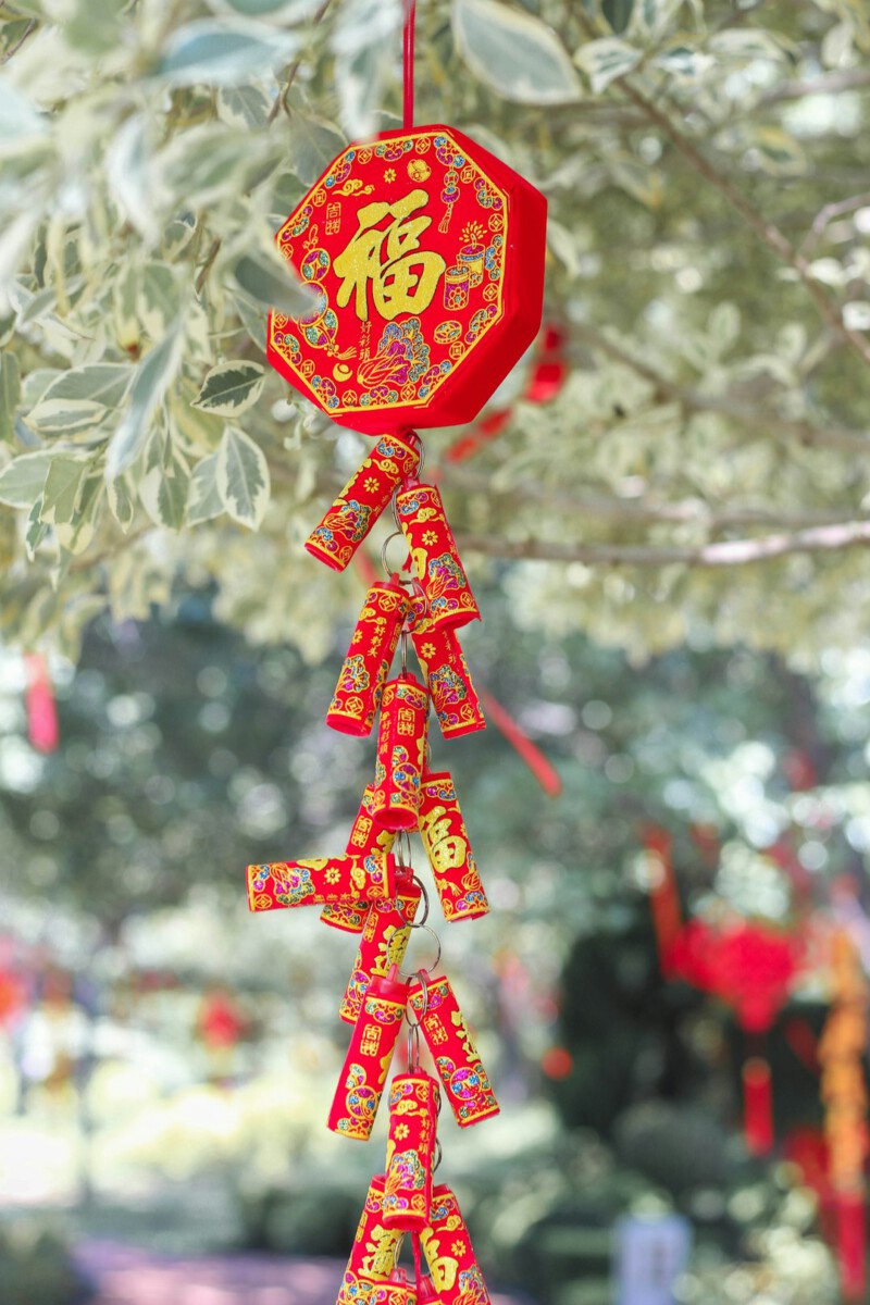 3 Chinese Zodiac Signs Attract Significant Abundance All Week, From January 12 - 18