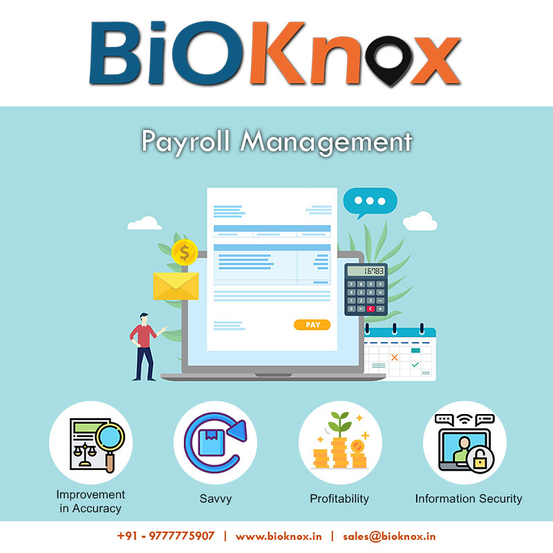 Top 7 Software Solutions for Payroll Processing