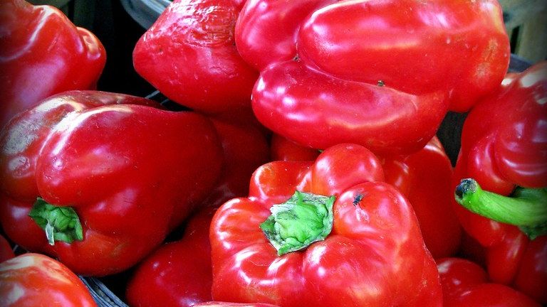 The Perfect Local Farmers Market Find for Every Zodiac Sign