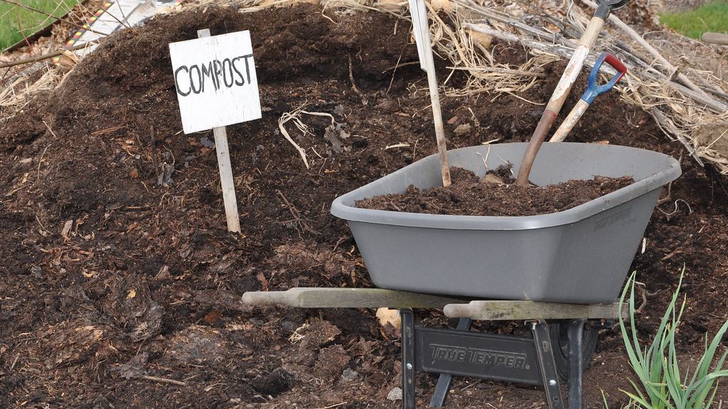 The Zodiac Guide to Composting: Finding the Method That Fits Your Sign