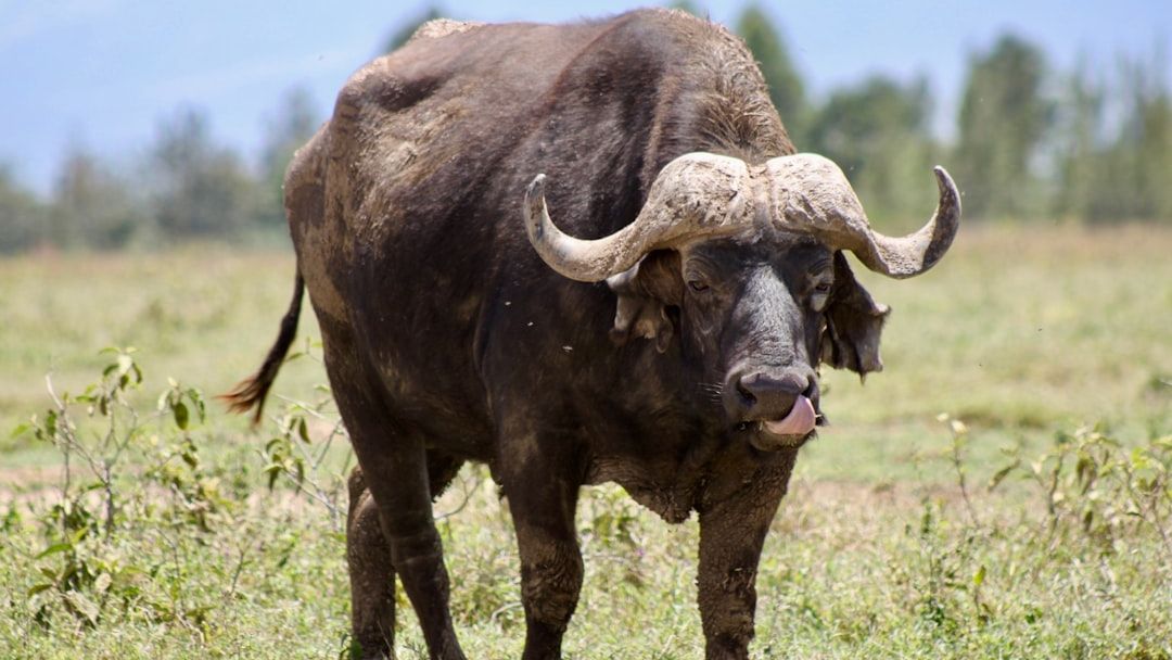 The Sneaky Way Each Zodiac Sign Deals with Conflict