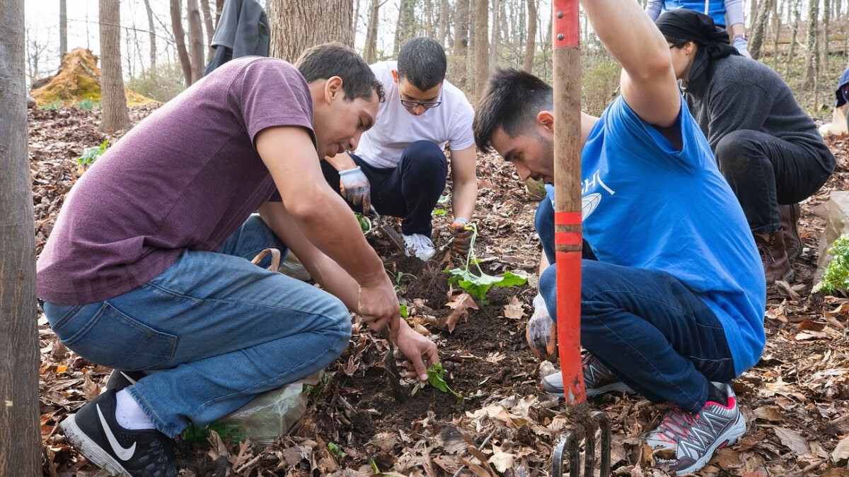 Which US States Have the Most Generous Neighbors? A Ranking of the Top 10