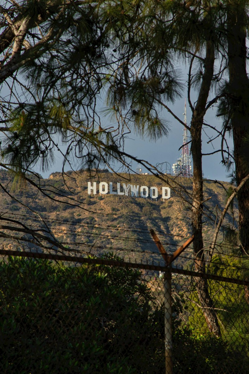 Sydney Sweeney Climbs Hollywood Sign with Bras in Legally Dicey Move