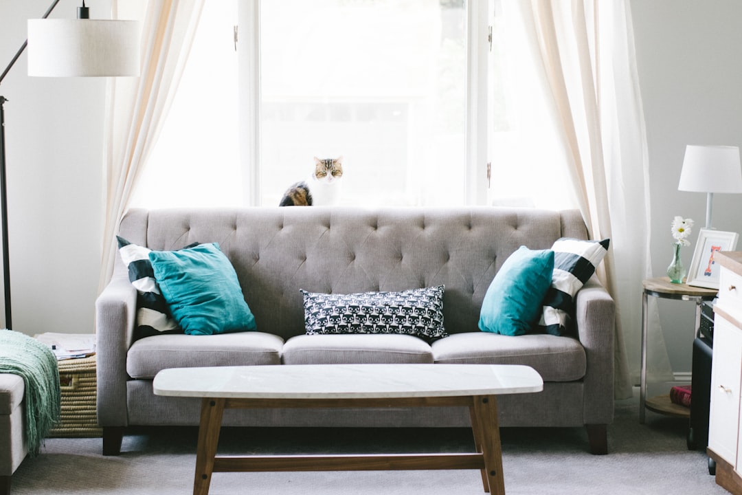 Serena and Lily Sofa Review