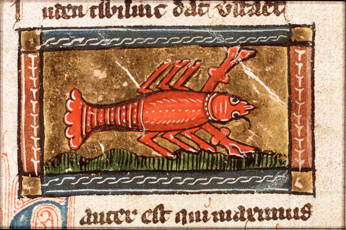 Cancer Horoscope 28 Jan 2026