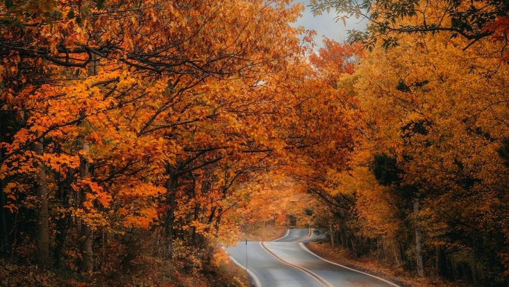 Your State Might Be Hiding Some of the Most Beautiful Fall Foliage Spots
