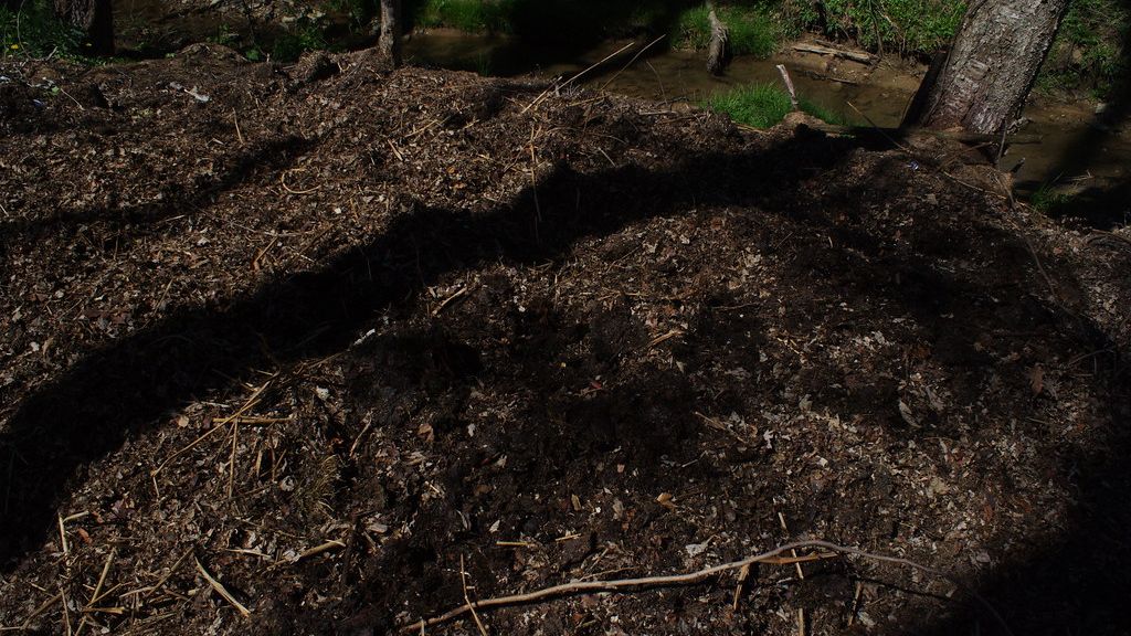 Mastering the Art of Sustainable Gardening: Tips for a Thriving Backyard