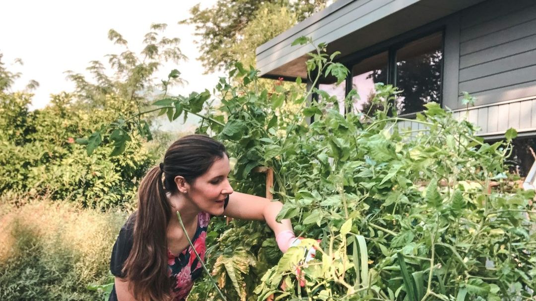 From Backyard Gardens to Big Business: The Resurgence of Home-Grown American Agriculture