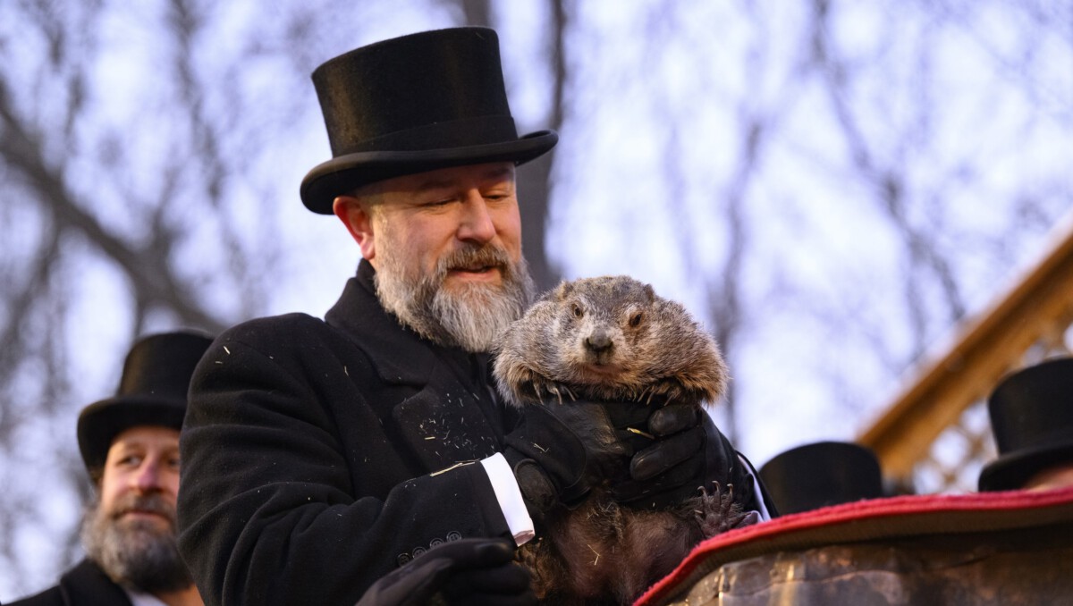 How Old Is Punxsutawney Phil Now? The Groundhog’s Age Today