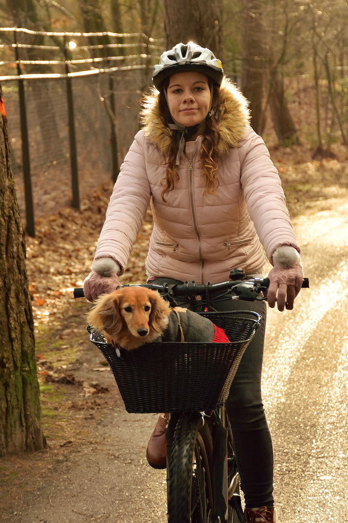 Shohei Ohtani’s new children’s book inspired by daughter and dog