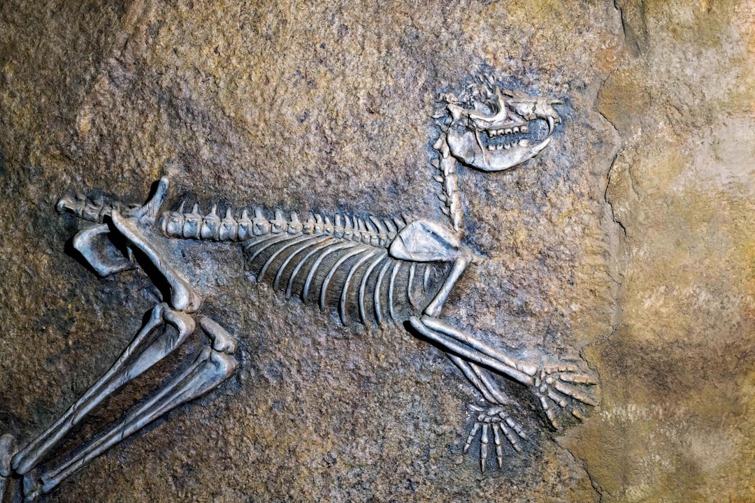 How a Black fossil digger became a superstar in the very white world of paleontology