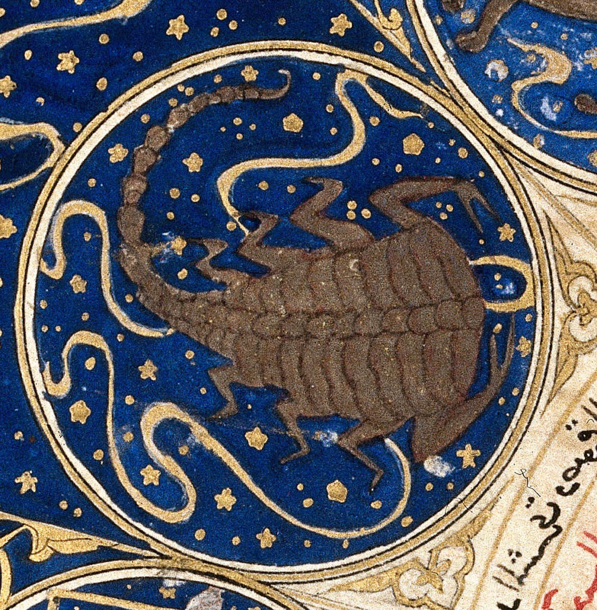 Scorpio Horoscope 5 Feb 2026