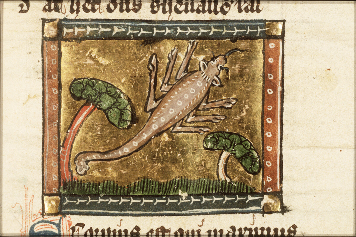 Scorpio Horoscope 9 Feb 2026