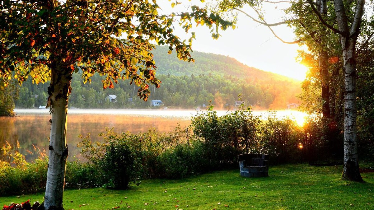 These 7 Beloved American National Parks Are Facing Unprecedented Environmental Threats