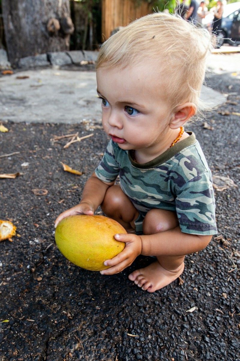 Babies in Vegan and Vegetarian Families Grow Normally, Large Study Suggests