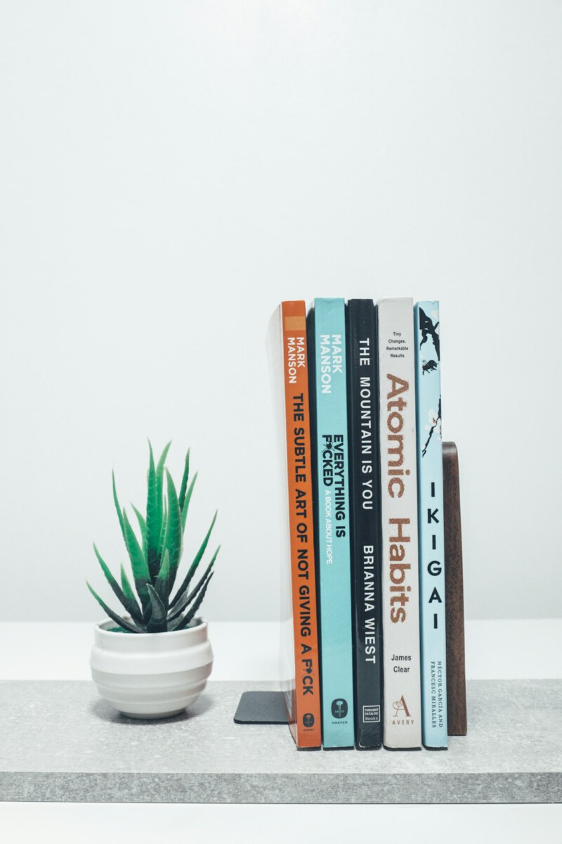 February may be short on days -- but it boasts a long list of new books