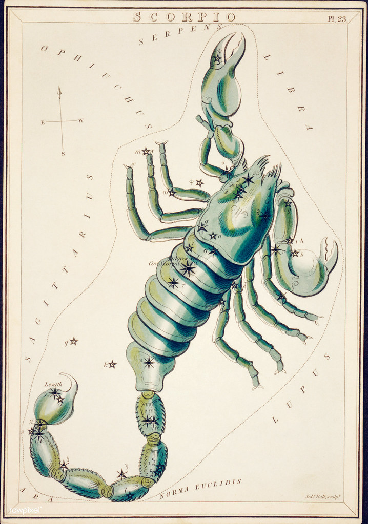 Scorpio Horoscope 13 Feb 2026