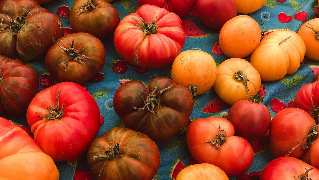 How Are American Home Gardeners Rediscovering Heirloom Vegetables?