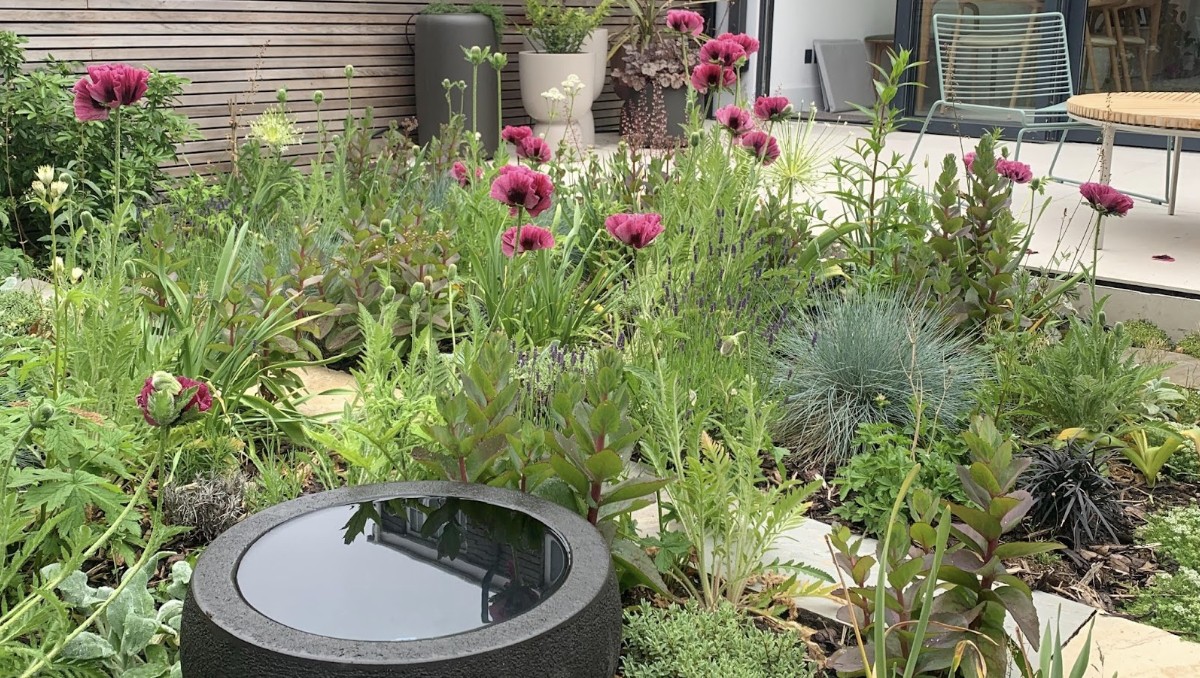 From Concrete to Canopy: How Mo Helmi Builds Urban Environments That Thrive