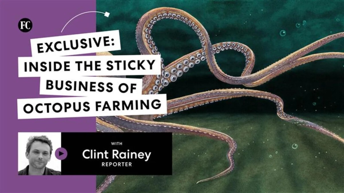 Octopus Prime: Inside a Growing and Controversial Farming Effort