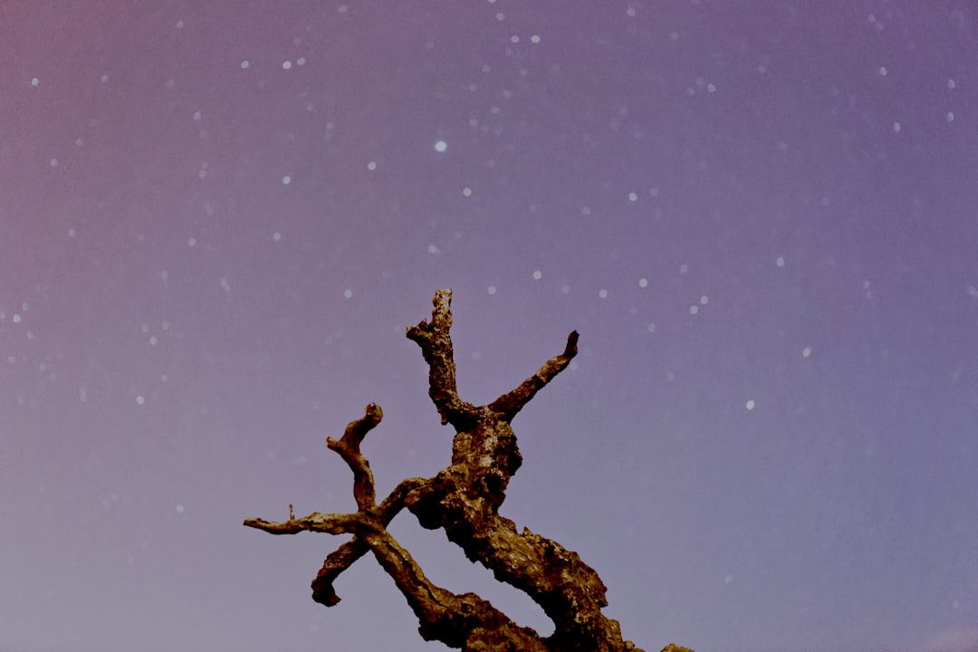 Scorpio Horoscope 12 Mar 2026