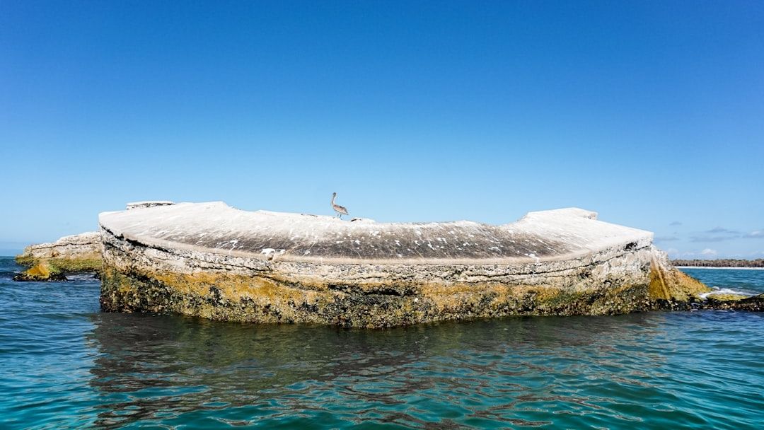 The "Ghost Town" Reappearing: Why This U.S. Lake is Drying Up and Revealing 100-Year-Old Secrets.