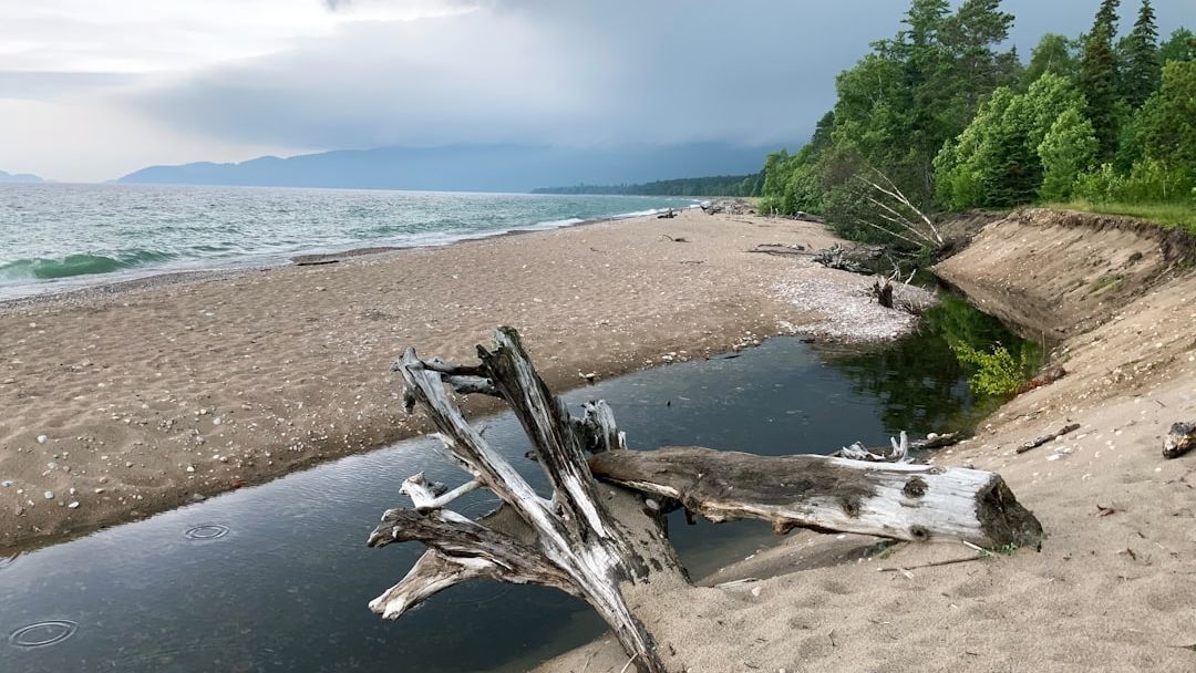 The 'Microplastic' Map: Why I Stopped Drinking Tap Water in This Specific U.S. State