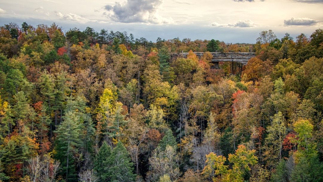 The "Radon Risk" Update: Why Homeowners in the Appalachian Trail Need to Test Their Basements Now