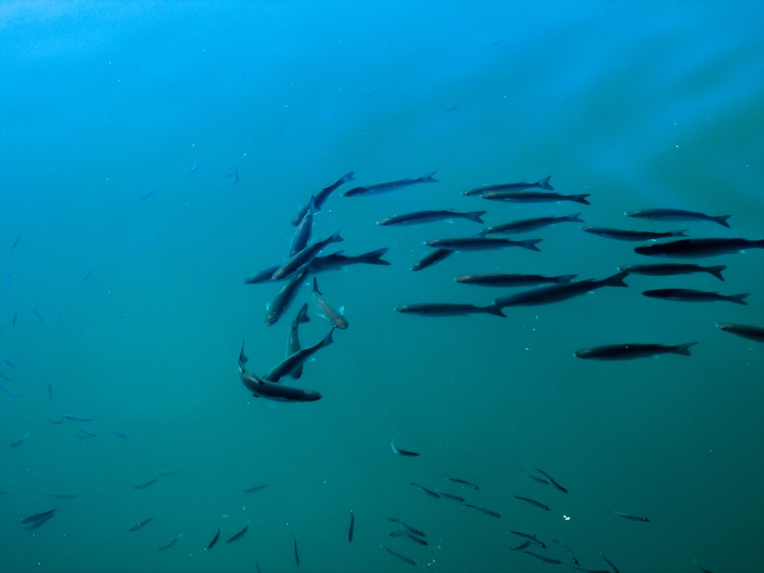 Satellite Spots a Spawn