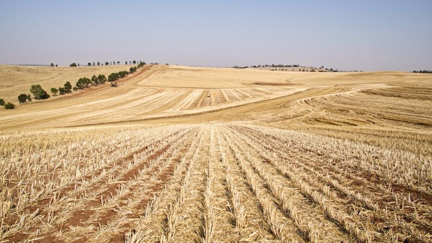 The 3 States Where New Water Restrictions are Quietly Crushing Property Values