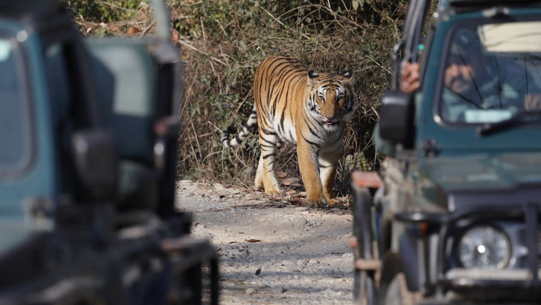 The 5 National Parks Where Tourists Are Being Banned for 'Disruptive Behavior' in 2026