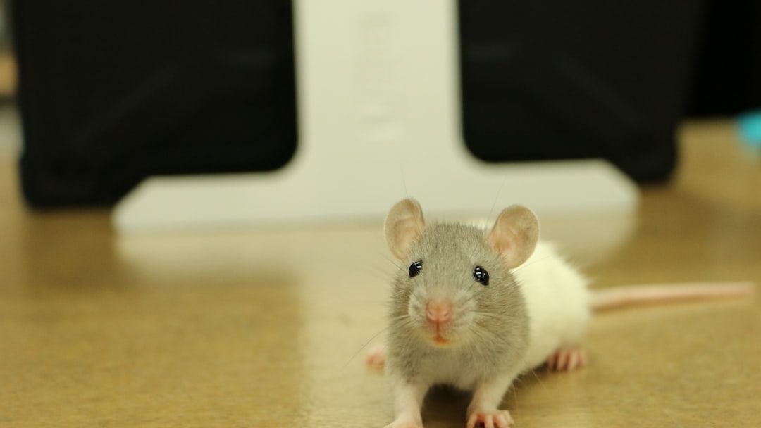 The "Bio-Hacking" Craze: Why People are Injecting Themselves with "Young Blood" in Florida.