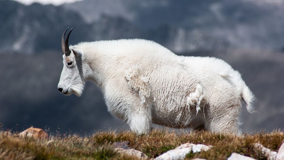 5 Zodiac Signs About to Receive a 'Universal Refund' for Past Hardships