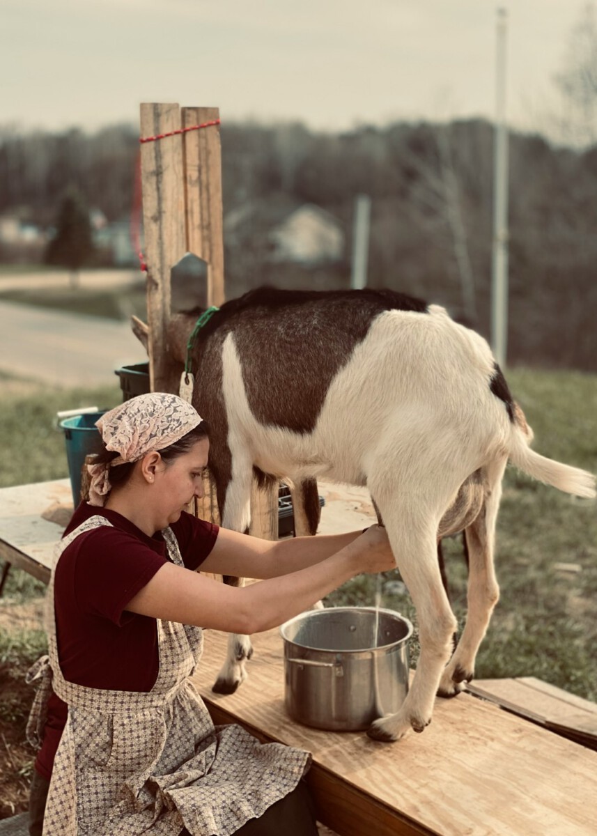 The 51 Percent Rule: They Lost Their Jobs and Googled: ‘What to Make With Goat Milk.’ Now They Run a $60 Million Soap Empire