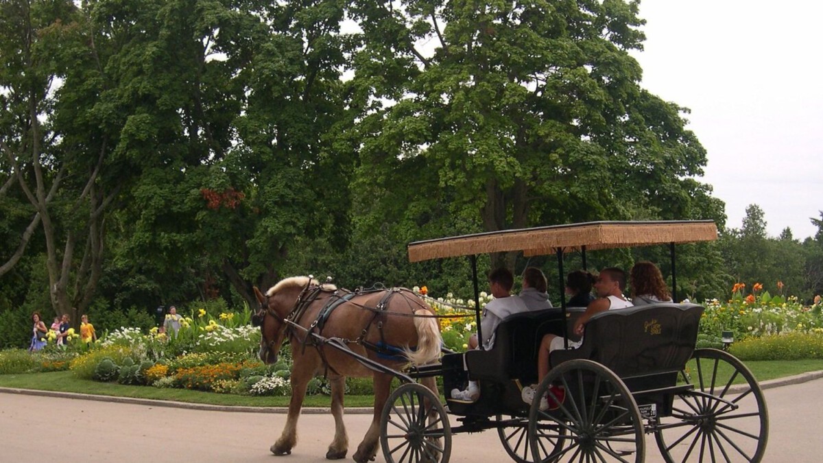 The 5 Best U.S. Islands You Can Visit Without a Plane Ticket