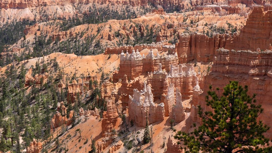 Forget the Grand Canyon: Why This State Park in Georgia is the New Must-See Destination