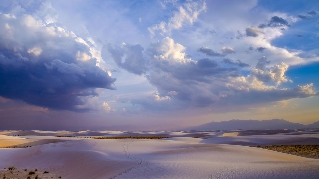 5 Archaeological Discoveries from 2025 That Just Re-Wrote American History