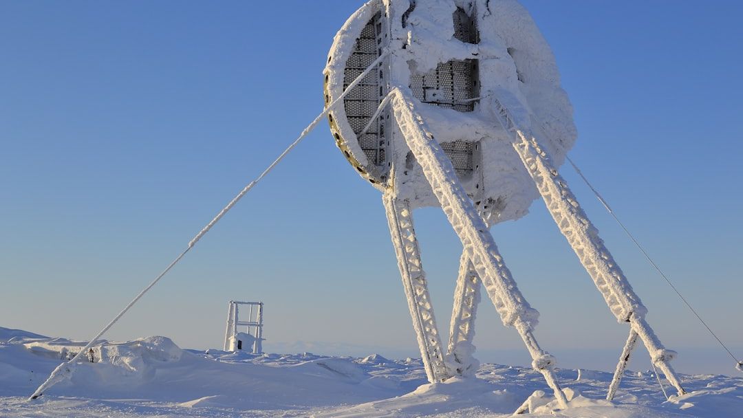 Scientists Discover a Massive Underground Forest Beneath the Arctic Ice